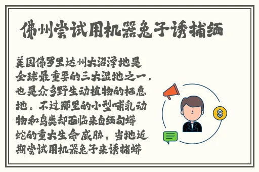 蘑菇精品反差